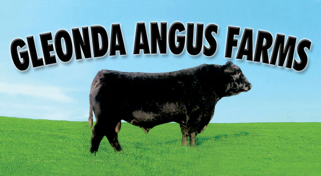 Gleonda Angus Farms Herd Bulls and Donors